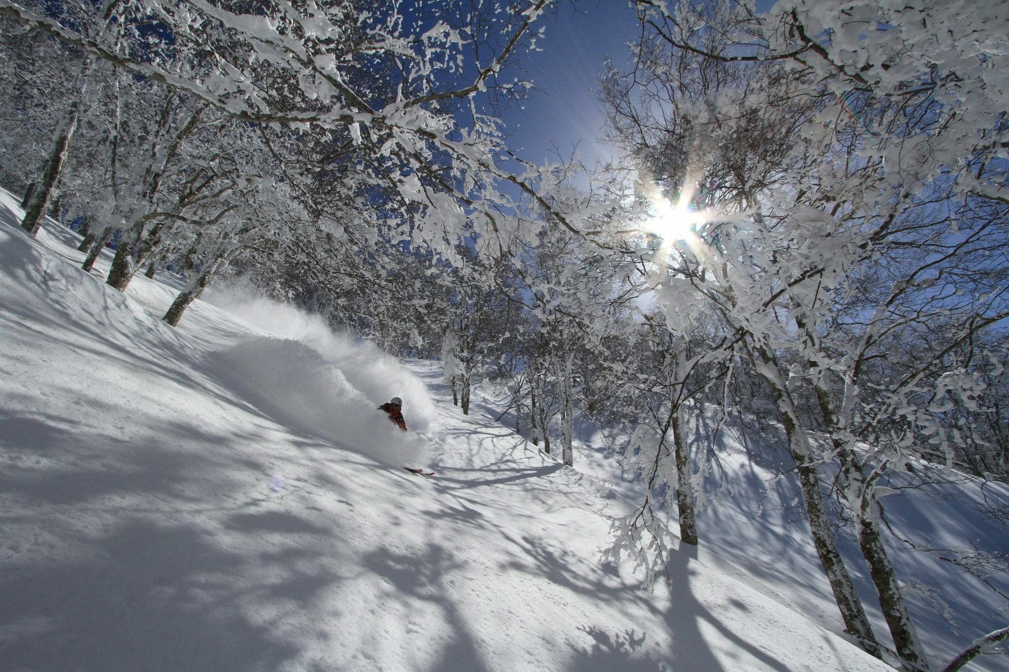 Hakuba Powder Lodge Екстер'єр фото